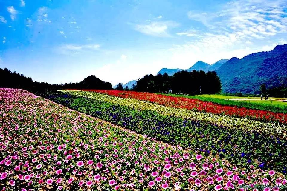 紅池壩高山草場(chǎng) 紅池壩高山草場(chǎng)