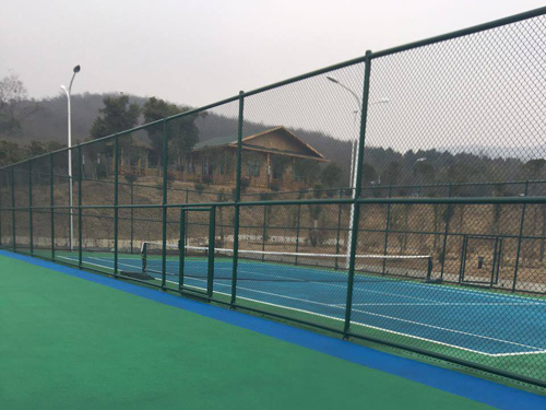 體育場(chǎng)護(hù)欄網(wǎng)